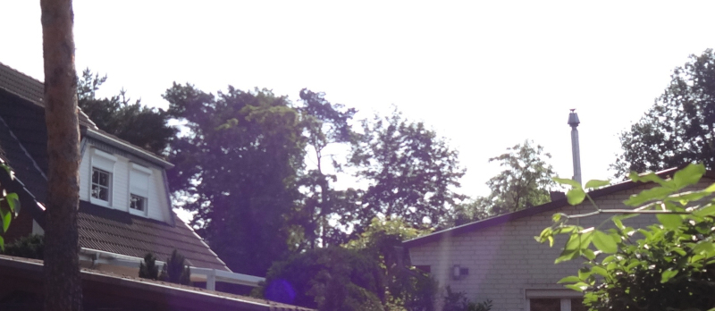 Aus der Sicht des Schornsteinfegers - SHK Profi