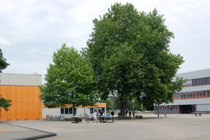  Gute Sportbedingungen finden die Schüler in der Dreifeldhalle des Schulzentrums Mülheim-Kärlich vor. 