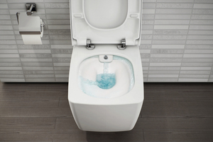  Die Kombination von WC mit Bidet ist eine platzsparende 2in1-Lösung. Hier die „Metropole“-Variante mit VitrAflush 2.0 Technologie. 