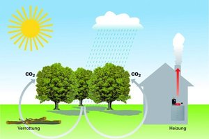  BiomasseWährend des Wachstums wird so viel CO2 gebunden, wie bei Verbrennung oder Verrottung wieder freigesetzt wird 