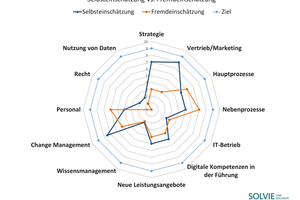  Selbst- und Fremdeinschätzung zum Digitalisierungsstand eines SHK-Betriebes (Beispiel) 