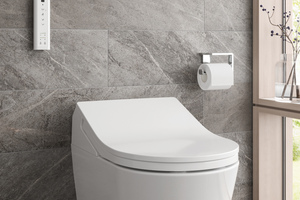  Washlet RX Dusch-WC Hygiene 