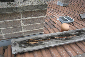  Lauffläche aus Holz über Dach morsch – Erneuerung gegen metallische Laufrosten spätestens jetzt erforderlich. 