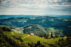  Im ältesten Weinbaugebiet der Steiermark produziert Familie Schneeberger auf über 100 Hektar Rebfläche hochwertige Qualitätsweine. Die mineralischen Schiefer- und Muschelkalkböden sorgen für ausgezeichnete Bedingungen. 