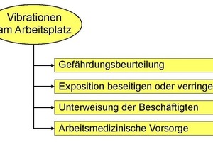  SchutzForderungen der Lärm- und Vibrations-Arbeitsschutzverordnung an den Arbeitgeber 