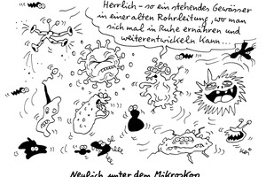  Weitere Cartoons von Kai Felmy finden Sie auch unter: www.shk-profi.de 