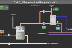  Das Fließschema der Dampfzentrale: Orange: Rauchgas, Grau: Primärdampf, Blau: Rücklauf Heizung, Rot: Vorlauf Heizung, Grün: Speisewasserbehälter, Gelb: Gasleitung. 