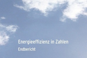  Energieeffizienz in Zahlen 