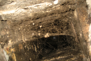  SpinnennetzeManchmal reichen schon Spinnennetze und andere Verschmutzungen, die sich darin verfangen, um den Abgasabzug zu behindern 