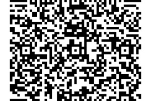  Über diesen QR-Code scannen Sie die Kontaktdaten direkt in Ihr Smartphone ein. 